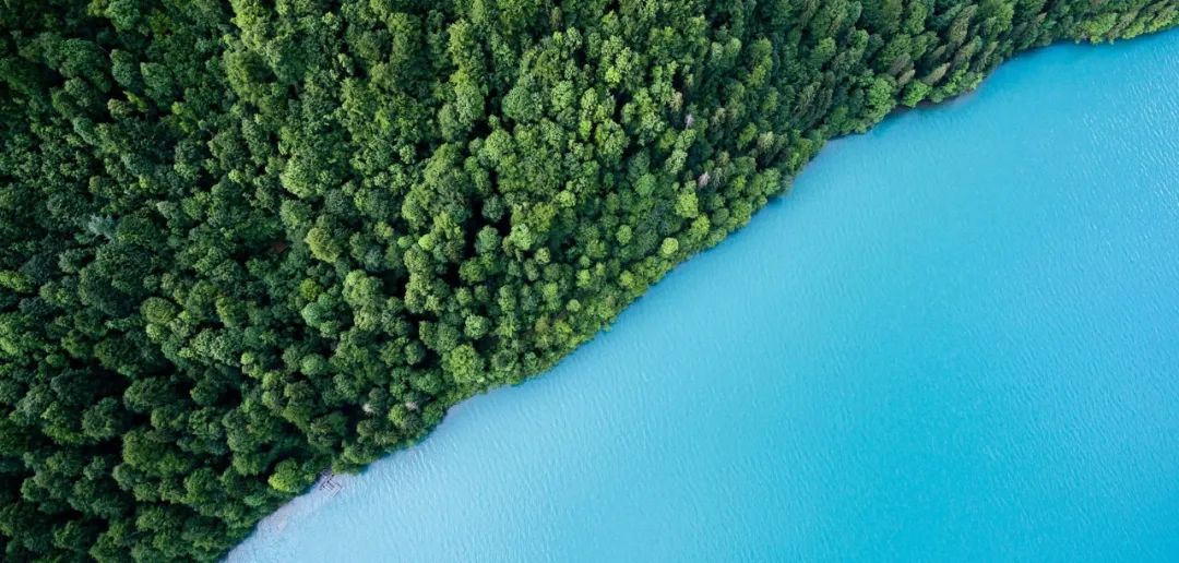 1698821036859544.jpg 640.jpg